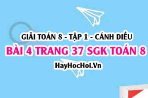 Giải bài 4 trang 37 Toán 8 Tập 1 SGK Cánh Diều
